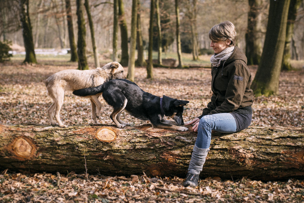 Hundecoach Constanze Jaekel mit Hunden im Wald